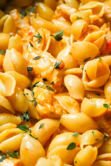 Chicken taco pasta.