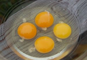 eggs