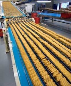 food in factory